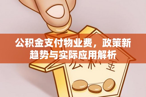 硚口公积金支付物业费，政策新趋势与实际应用解析