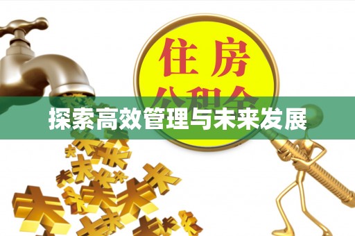 硚口探索高效管理与未来发展