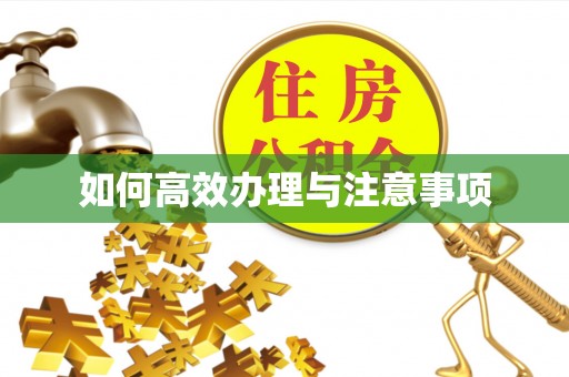 硚口如何高效办理与注意事项