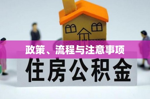 硚口政策、流程与注意事项