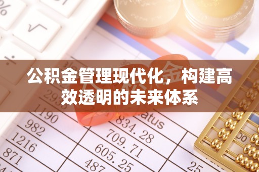 硚口公积金管理现代化，构建高效透明的未来体系