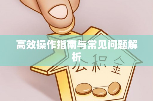 硚口高效操作指南与常见问题解析