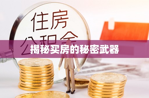 硚口揭秘买房的秘密武器