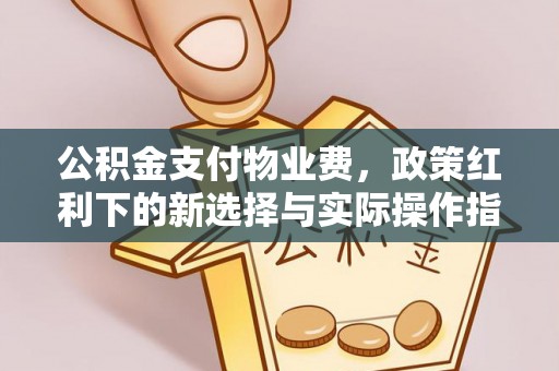 硚口公积金支付物业费，政策红利下的新选择与实际操作指南
