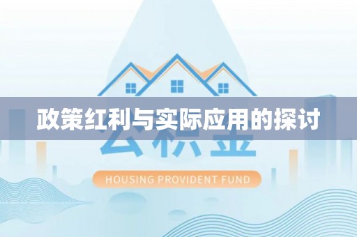 硚口政策红利与实际应用的探讨