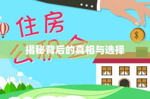 硚口揭秘背后的真相与选择