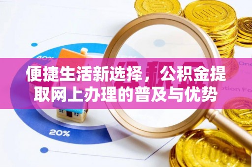 硚口便捷生活新选择，公积金提取网上办理的普及与优势