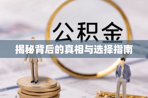 硚口揭秘背后的真相与选择指南