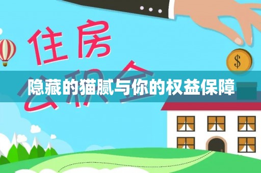 硚口隐藏的猫腻与你的权益保障