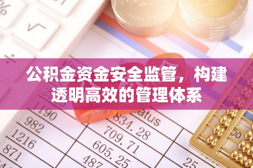 硚口公积金资金安全监管，构建透明高效的管理体系