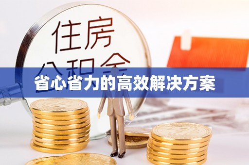 硚口省心省力的高效解决方案