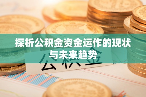 硚口探析公积金资金运作的现状与未来趋势
