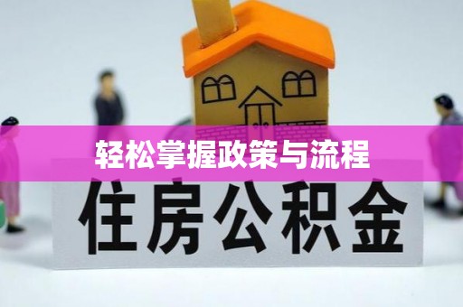 硚口轻松掌握政策与流程