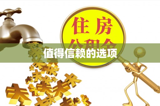 硚口值得信赖的选项