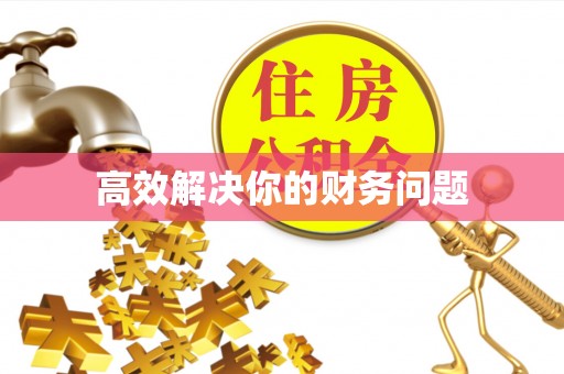 硚口高效解决你的财务问题