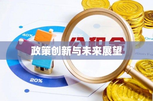 硚口政策创新与未来展望