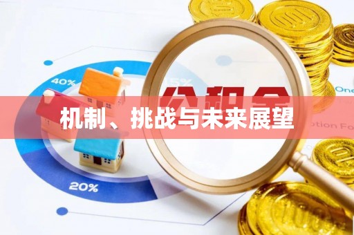 硚口机制、挑战与未来展望